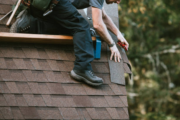 Best Roof Gutter Cleaning  in Eagleton Village, TN